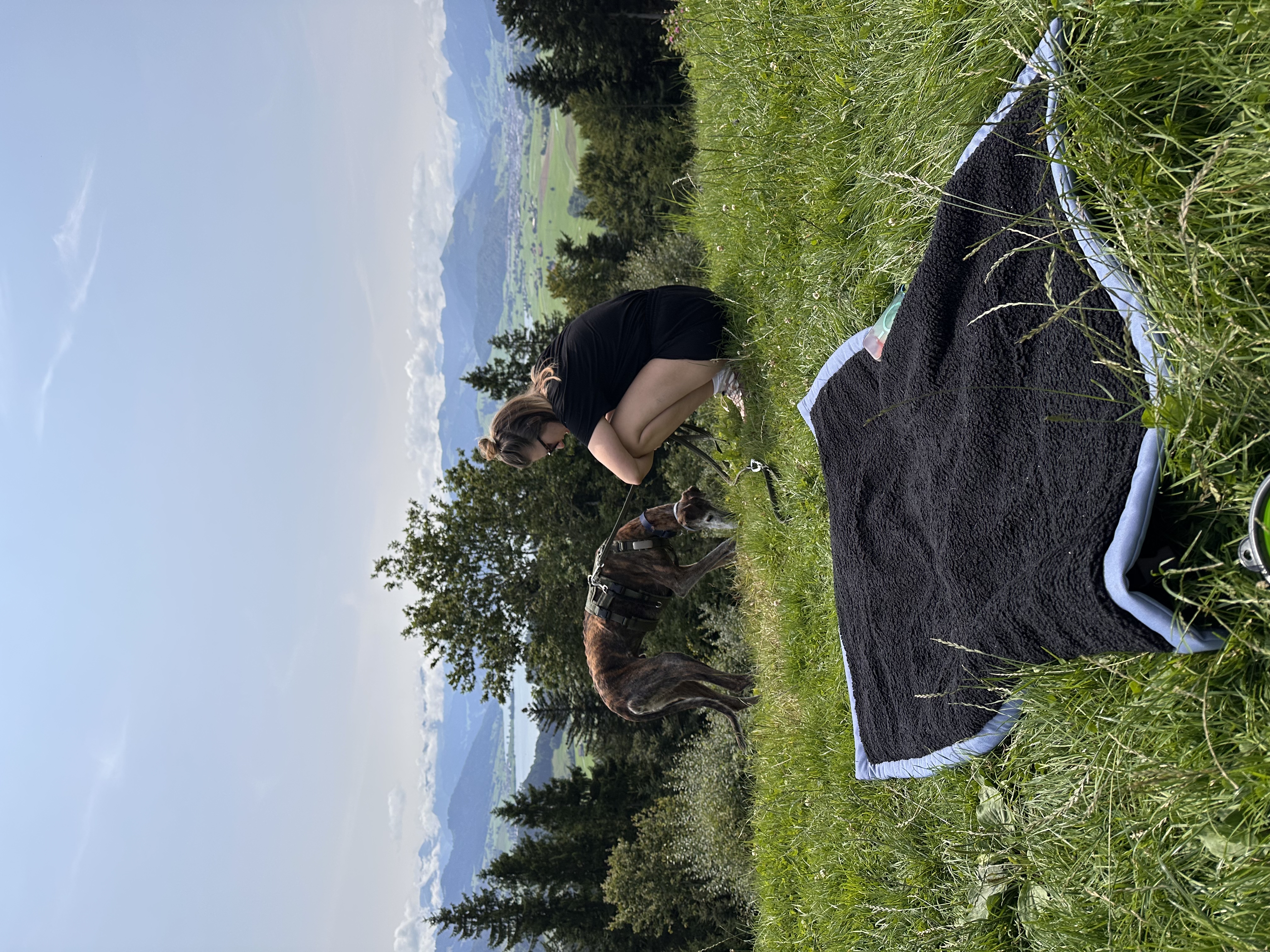 Picknick met de honden en uitzicht op de bergen