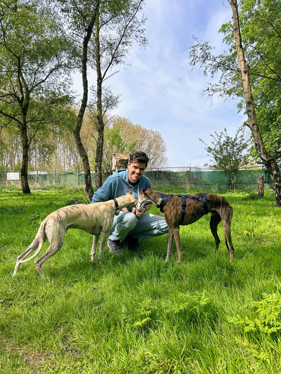 Toon met Sidney en Fénix